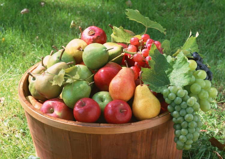 Список статей из категории «Плодово — ягодные культуры»