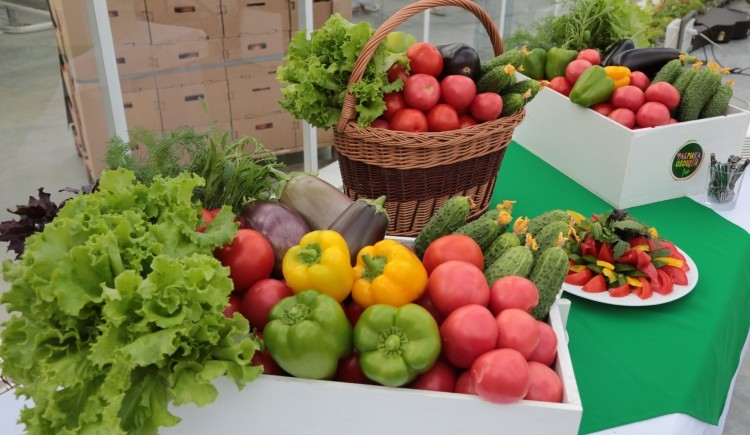 Список статей из категории «Выращивание овощных культур»