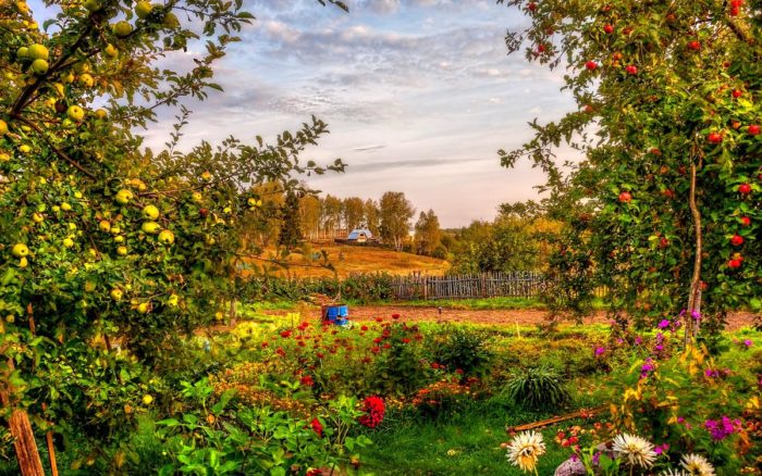 Календарь садовода и огородника на август: подробнейший регламент работ в саду, огороде и цветниках